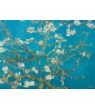 Puzzle da 1000 Pezzi - van Gogh, Vincent: Almond Blossom by van Gogh