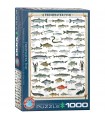 Puzzle da 1000 Pezzi - Freshwater Fish