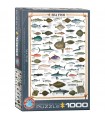 Puzzle da 1000 Pezzi - Sea Fish