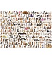 Puzzle da 1000 Pezzi - The World of Dogs