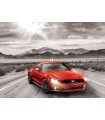 Puzzle da 1000 Pezzi - 2015 Ford Mustang GT