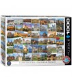 Puzzle da 1000 Pezzi - Globetrotter Castles + Palaces
