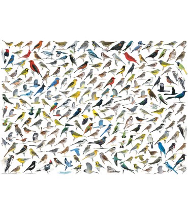 Puzzle da 1000 Pezzi - The World of Birds