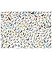 Puzzle da 1000 Pezzi - The World of Birds