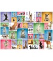 Puzzle da 1000 Pezzi - Yoga Dogs