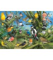 Puzzle da 1000 Pezzi - Joahn Francis: Garden Birds by Joahn Francis