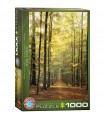 Puzzle da 1000 Pezzi - Forest Path
