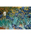 Puzzle da 1000 Pezzi - van Gogh, Vincent: Irises by Vincent van Gogh