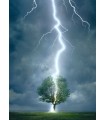 Puzzle da 1000 Pezzi - Lighting Striking Tree