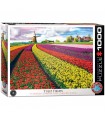 Puzzle da 1000 Pezzi - Tulip Fields Netherlands
