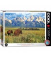 Puzzle da 1000 Pezzi - Grand Teton National Park