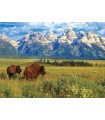 Puzzle da 1000 Pezzi - Grand Teton National Park