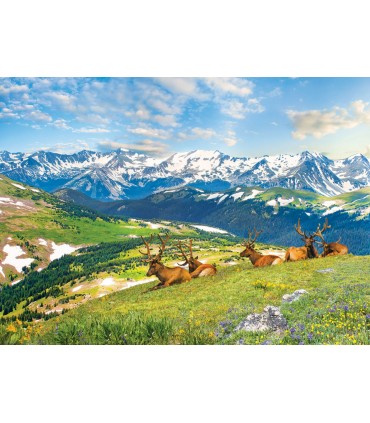 Puzzle da 1000 Pezzi - Mountain Elks