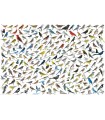 Puzzle da 2000 Pezzi - The World of Birds