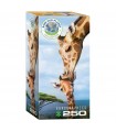 Puzzle da 250 Pezzi - Giraffes