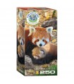 Puzzle da 250 Pezzi - Red Pandas