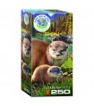 Puzzle da 250 Pezzi - Otters