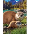 Puzzle da 250 Pezzi - Otters