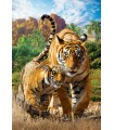 Puzzle da 250 Pezzi - Tigers