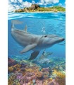 Puzzle da 250 Pezzi - Dolphins