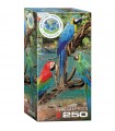 Puzzle da 250 Pezzi - Macaws