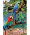 Puzzle da 250 Pezzi - Macaws
