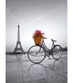 Puzzle da 500 Pezzi - Romantic Promenade in Paris