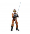 Hasbro Star Wars The Black Series Archive, Luke Skywalker