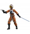 Hasbro Star Wars The Black Series Archive, Luke Skywalker