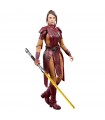 Hasbro Star Wars The Black Series Bastila Shan Action Figures 6-Inch