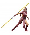 Hasbro Star Wars The Black Series Bastila Shan Action Figures 6-Inch