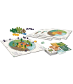 Evergreen - Gioco di Strategia 1-4 Giocatori, Card Drafting, Costruisci il Tuo Ecosistema Verde in 45 Minuti - Ghenos Games