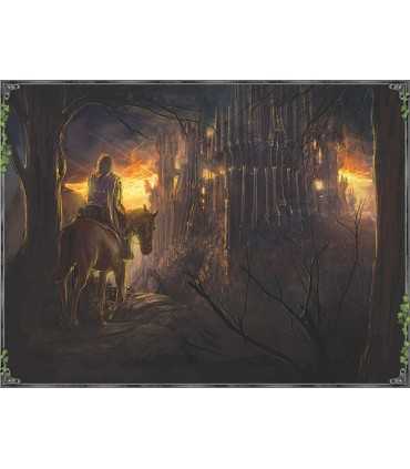 Il Signore degli Anelli LCG - Il Gioco di Carte - usato