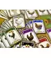 Hens - Gioco di Carte Strategico di Allevamento Galline per Famiglie e Amici, 1-4 Giocatori, 15 Minuti di Divertimento