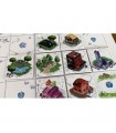 Bloom Town - Gioco da Tavolo Strategico per Famiglie | Diventa Sindaco e Rivitalizza la Tua Città in 30 Minuti!