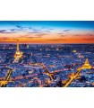 Immagine Puzzle finito