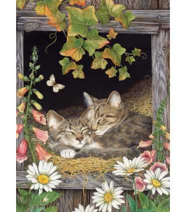 Immagine Puzzle completo