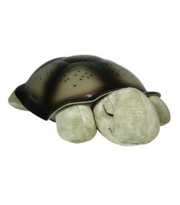 Twilight Turtle Classic