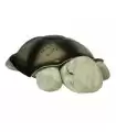 Twilight Turtle Classic