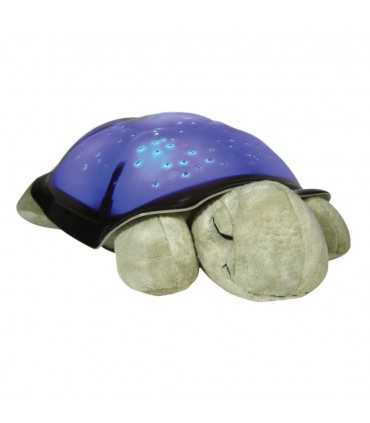Twilight Turtle Classic