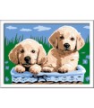 CreArt - Serie E: Cuccioli di Golden Retriever