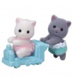 Gemelli Gatto Persiano