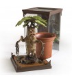 Harry Potter - Creature magiche: Mandragora
