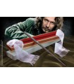 Harry Potter: Bacchetta Magica Deluxe di Sirius Black