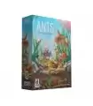 Ants