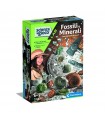 Scienza & Gioco - Fossili e Minerali