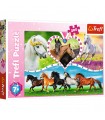 Puzzle da 200 Pezzi - Beautiful Horses