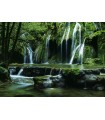 Puzzle da 1000 Pezzi - Cascades, Magic Forests