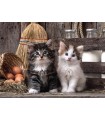 Puzzle da 1000 Pezzi - Lovely Kittens