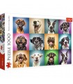 Puzzle da 1000 Pezzi - Funny Dog Portraits